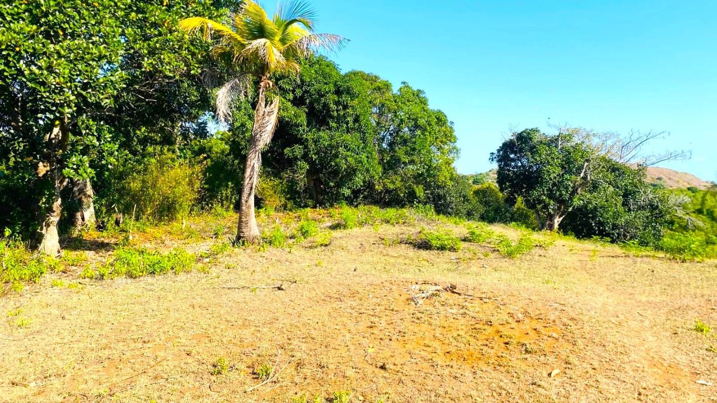 TERRAIN CONSTRUCTIBLE À PROXIMITÉ DE LA ROUTE PRINCIPALE