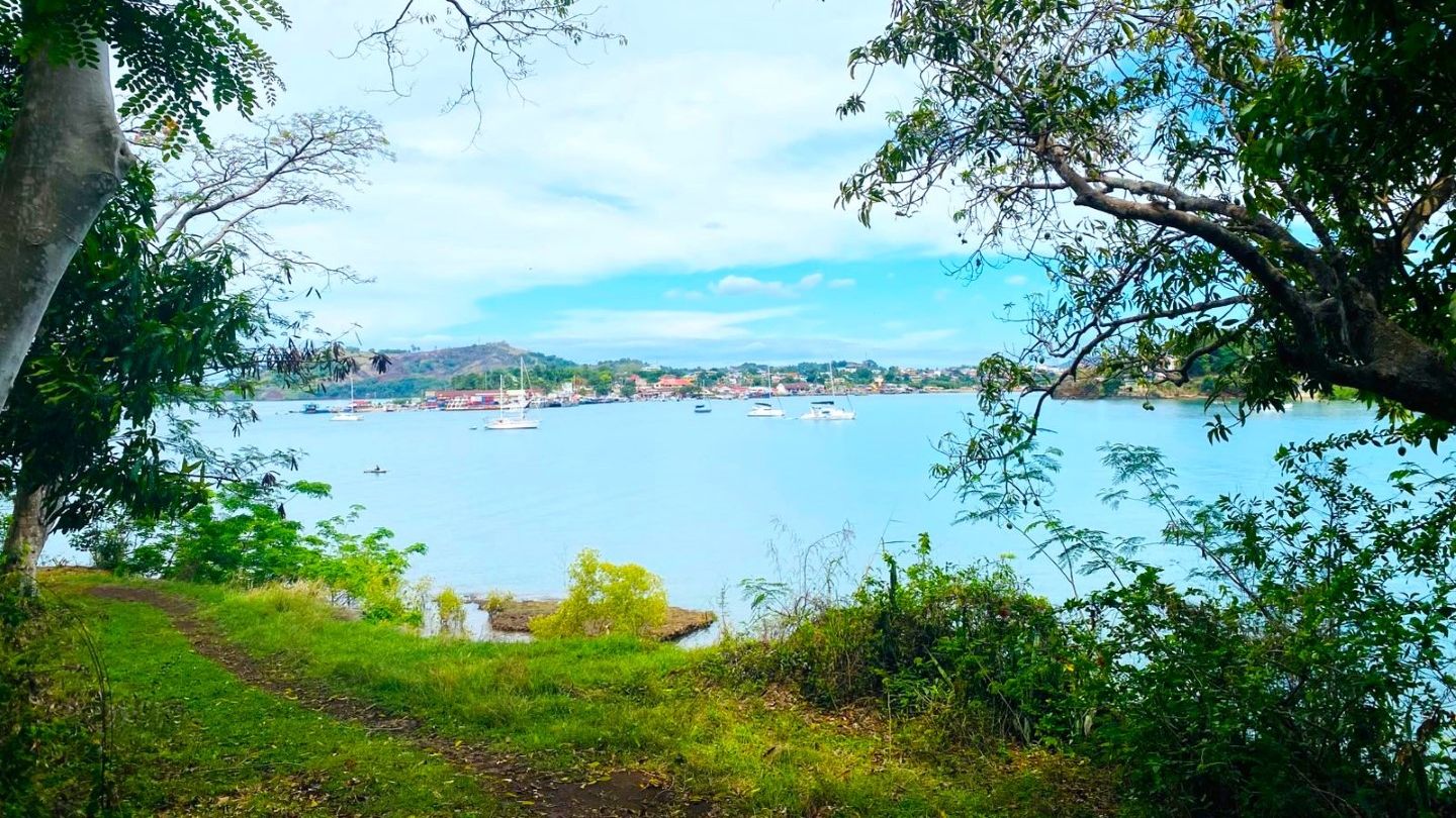 TERRAIN DE CHARME EN HAUTEUR VUE MER