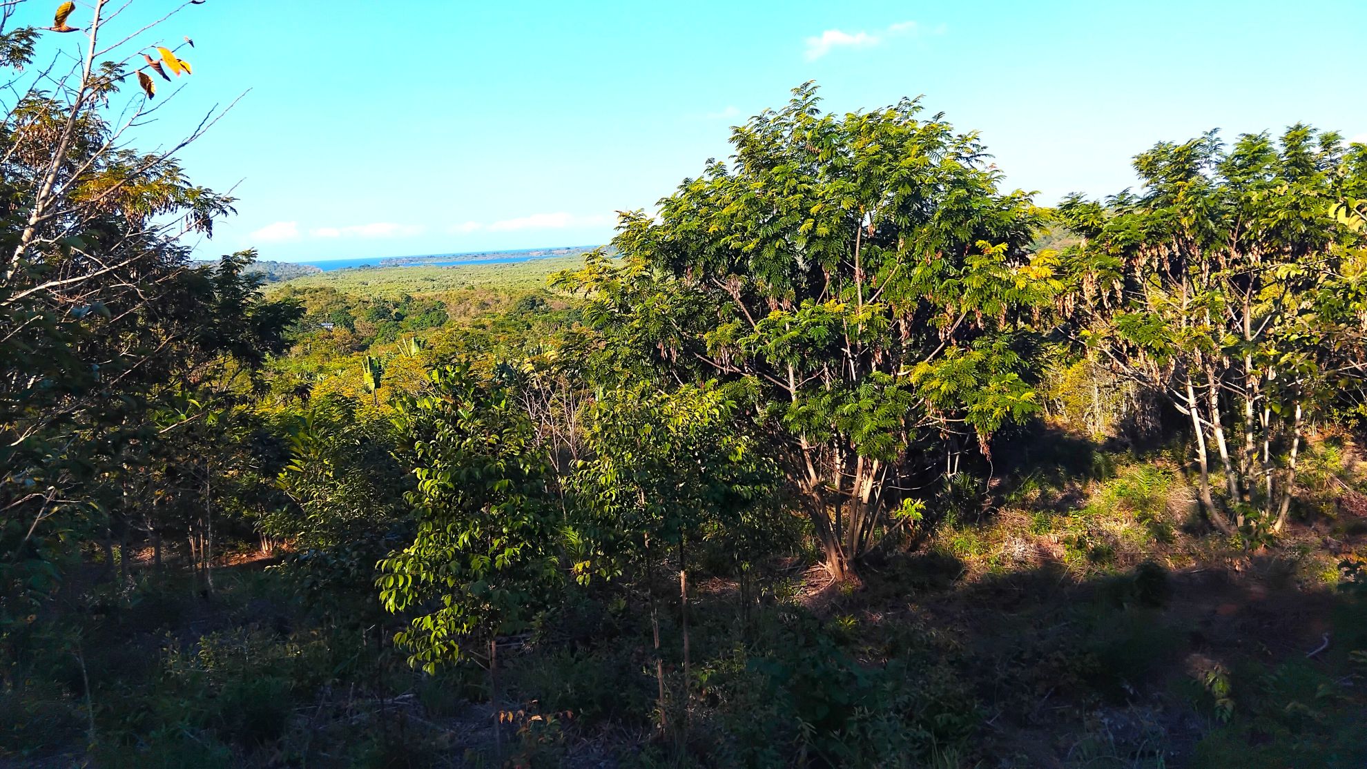 TERRAIN VUE MER AU CŒUR D'UN ÉCRIN DE VERDURE