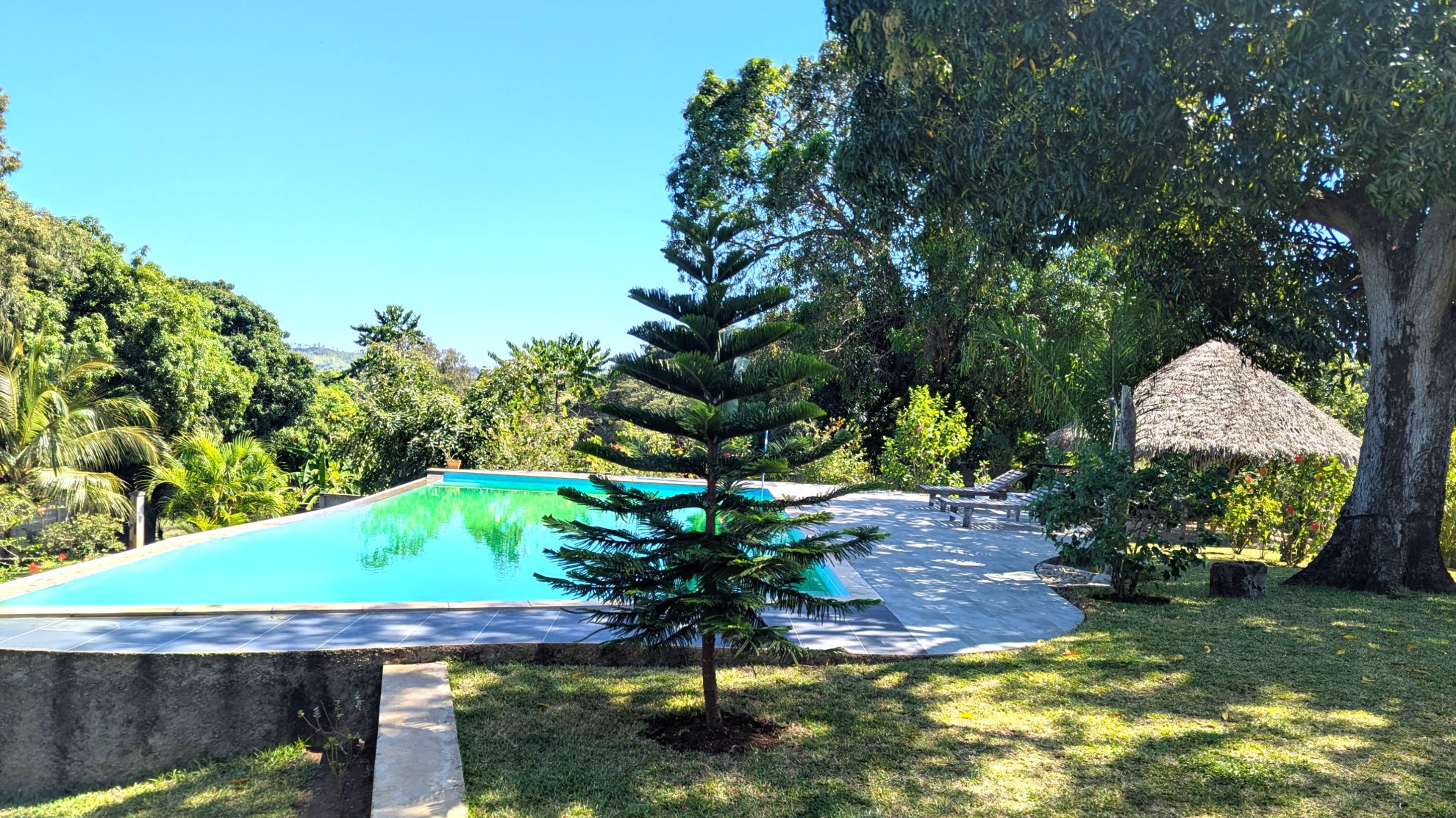 VILLA AVEC PISCINE DANS UN ECRIN DE VERDURE
