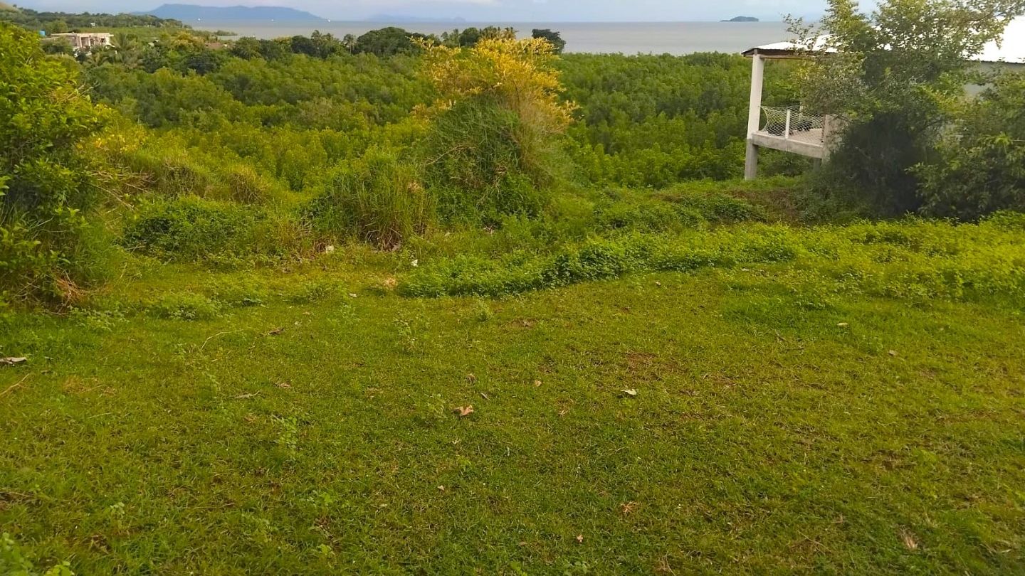 TERRAIN DANS UN CADRE CALME AVEC VUE MER À VENDRE