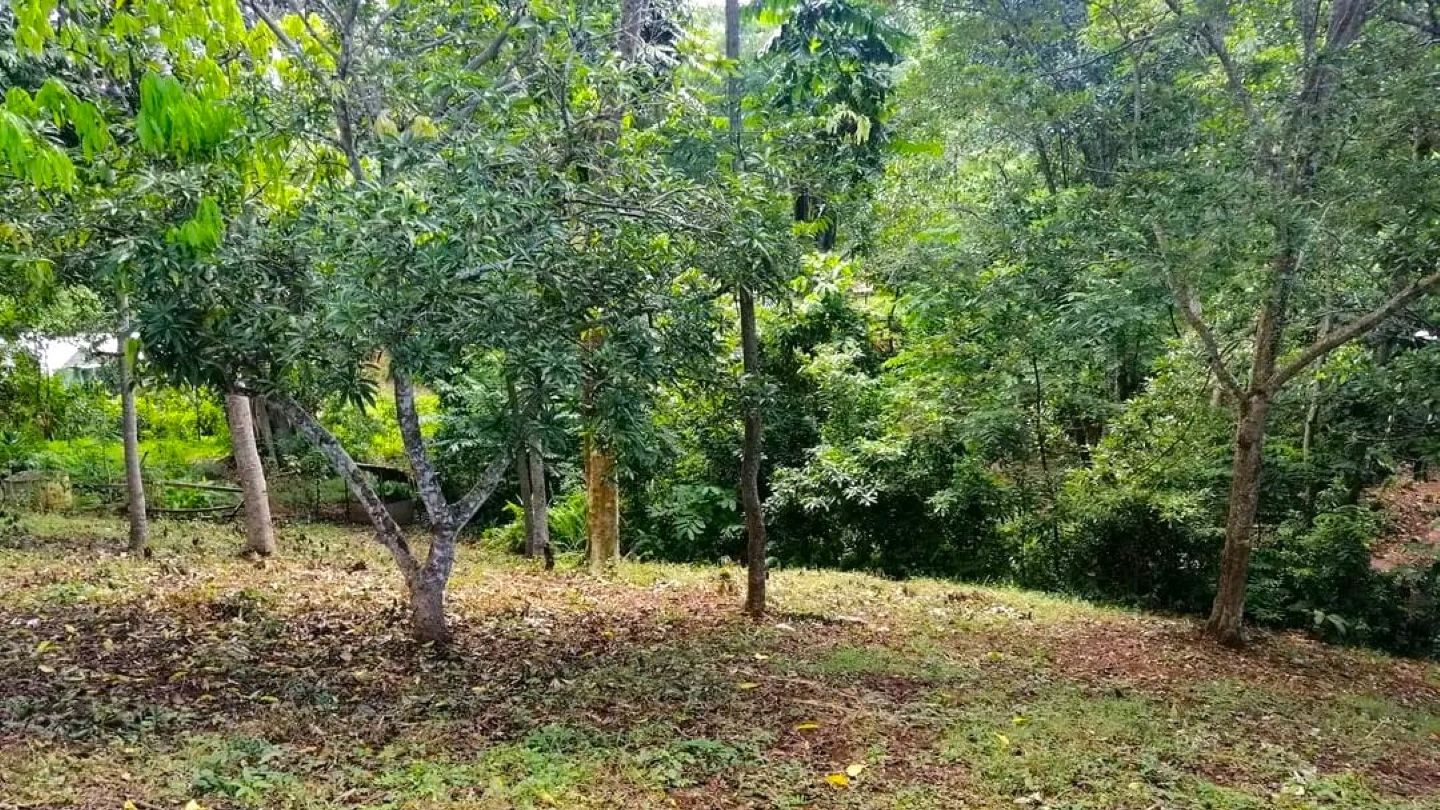 TERRAIN NU AVEC SOURCE D’EAU