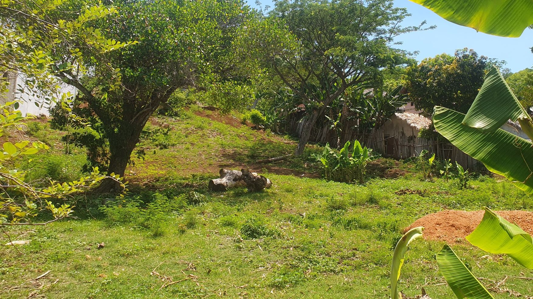TERRAIN CONSTRUCTIBLE AMBATOLOAKA NOSY-BE