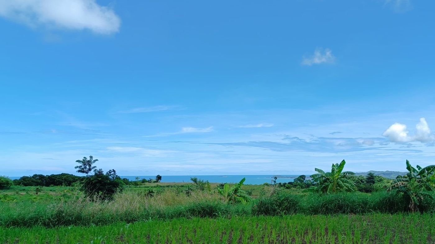 PROJET DE LOTISSEMENT VUE SUR MER