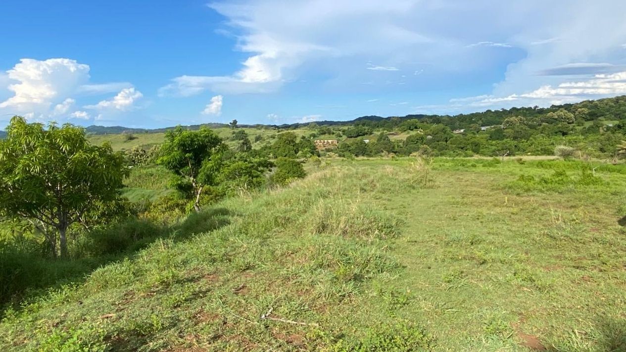 UNE SURFACE EXCEPTIONNELLE À EXPLOITER