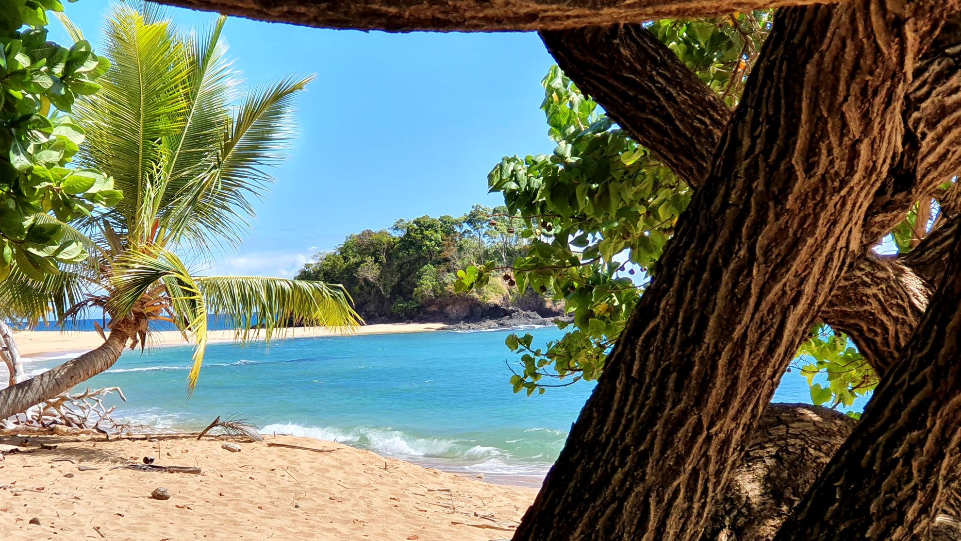 DOMAINE EXCEPTIONNEL CORAIL VERT - ILE SAKATIA