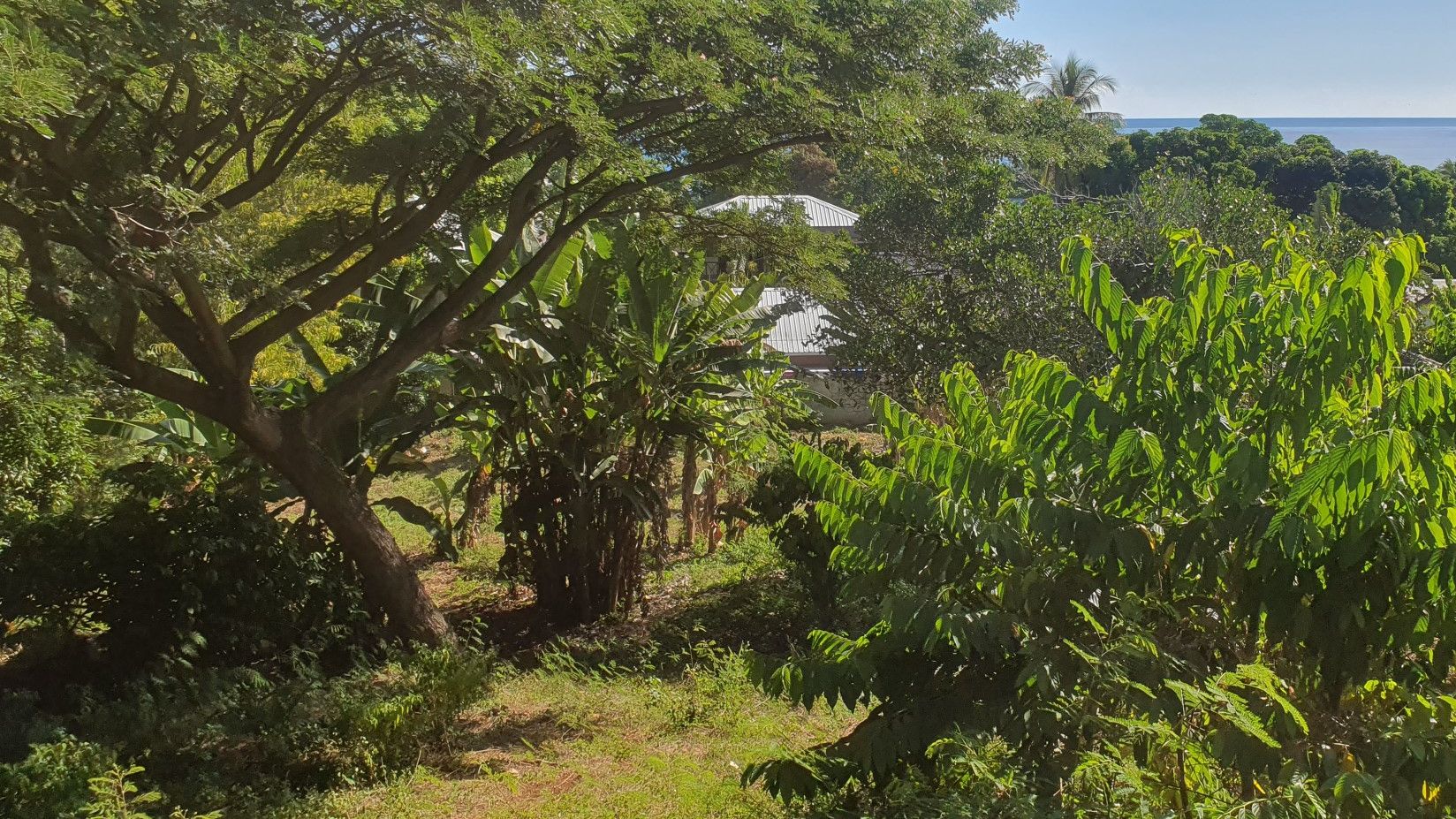 TERRAIN RARE CONSTRUCTIBLE AMBATOLOAKA NOSY-BE