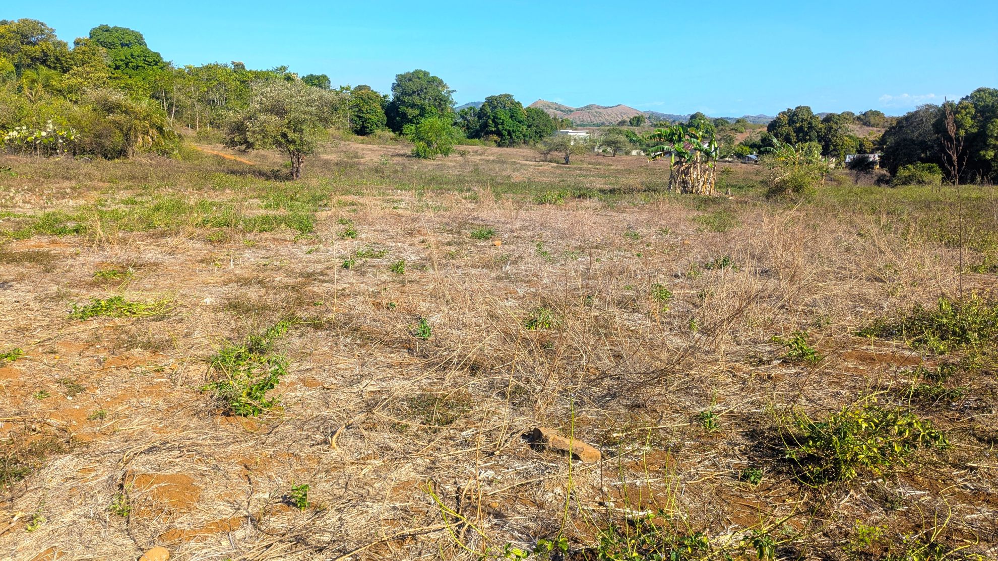 GRAND TERRAIN EN BORD DE ROUTE – OPPORTUNITÉ POUR TOUS TYPES DE PROJETS