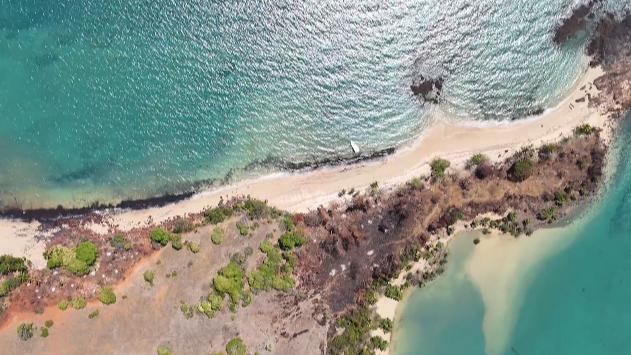 TERRAIN PIEDS DANS L’EAU POUR INVESTISSEUR