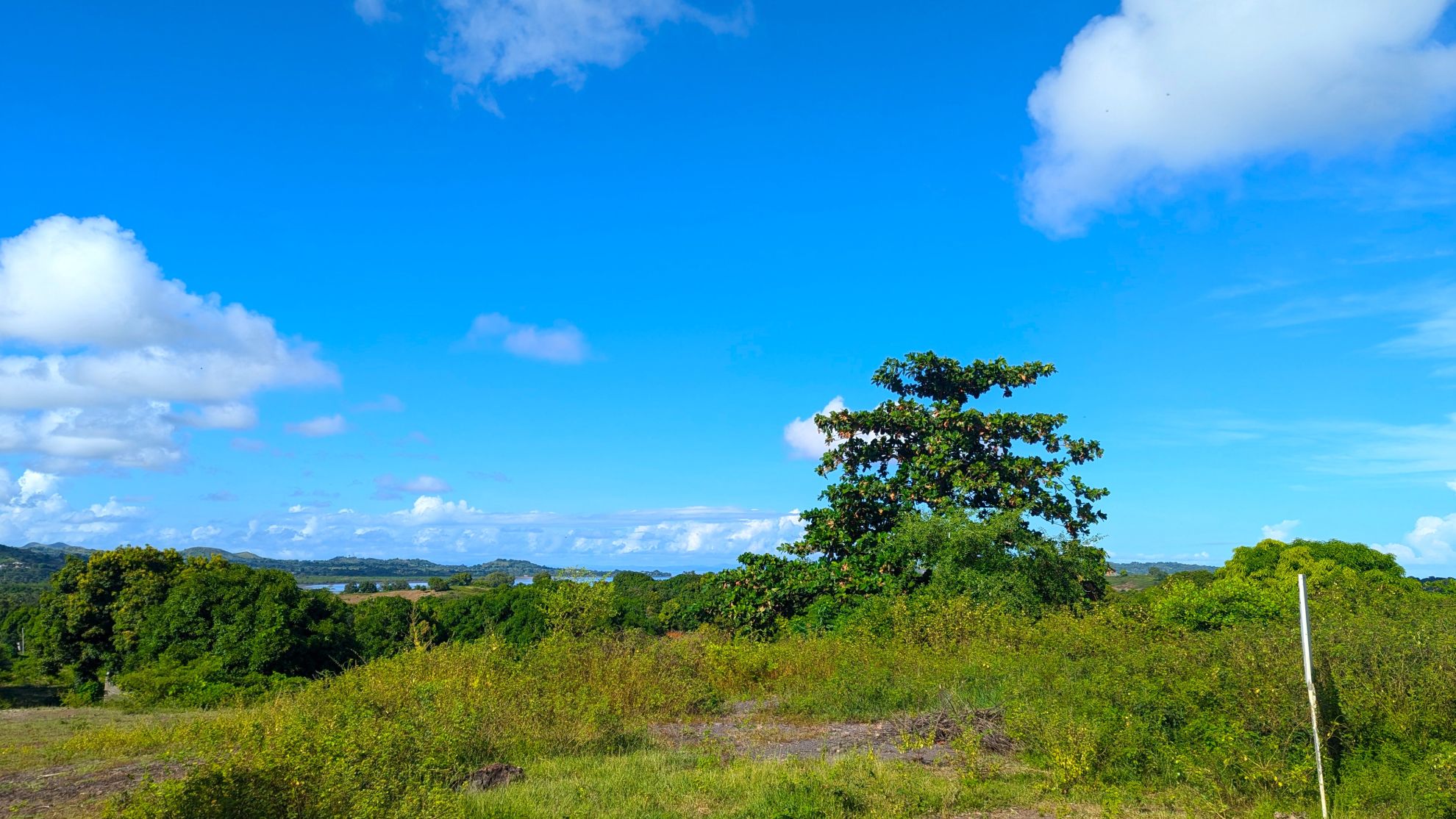 TERRAIN VUE MER DANS UN CADRE VERDOYANT